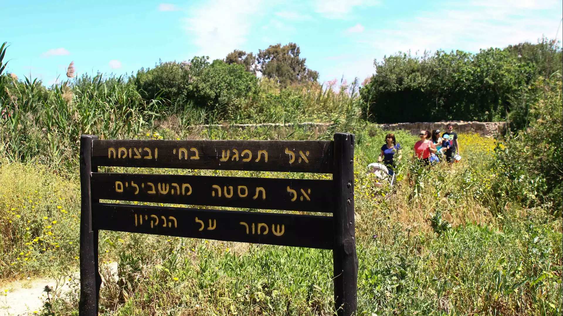 מטיילים בשכונת עין-אפק בצפון 21.4.14 מטיילים בשכונת עין-אפק בצפון 21.4.14