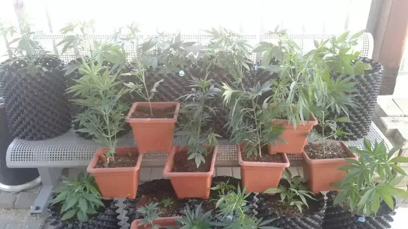 מעבדת סמים נחשפה במלון דיפלומט בירושלים. אפריל 2014 מעבדת סמים נחשפה במלון דיפלומט בירושלים. אפריל 2014