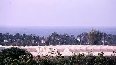 נווה דקלים (אבי קסמן) לא לשימוש