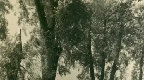 תערוכת צילומים של חיילים נאצים בתקופת השואה תערוכת צילומים של חיילים נאצים בתקופת השואה