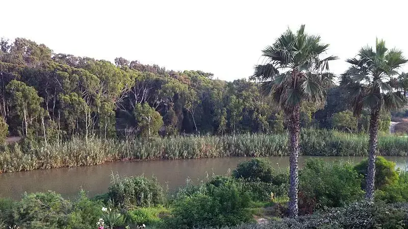 פארק נחל חדרה פארק נחל חדרה