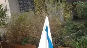 איילה כהן מגל צילמה את החתול שלה עם דגל ישראל. מאי 2014