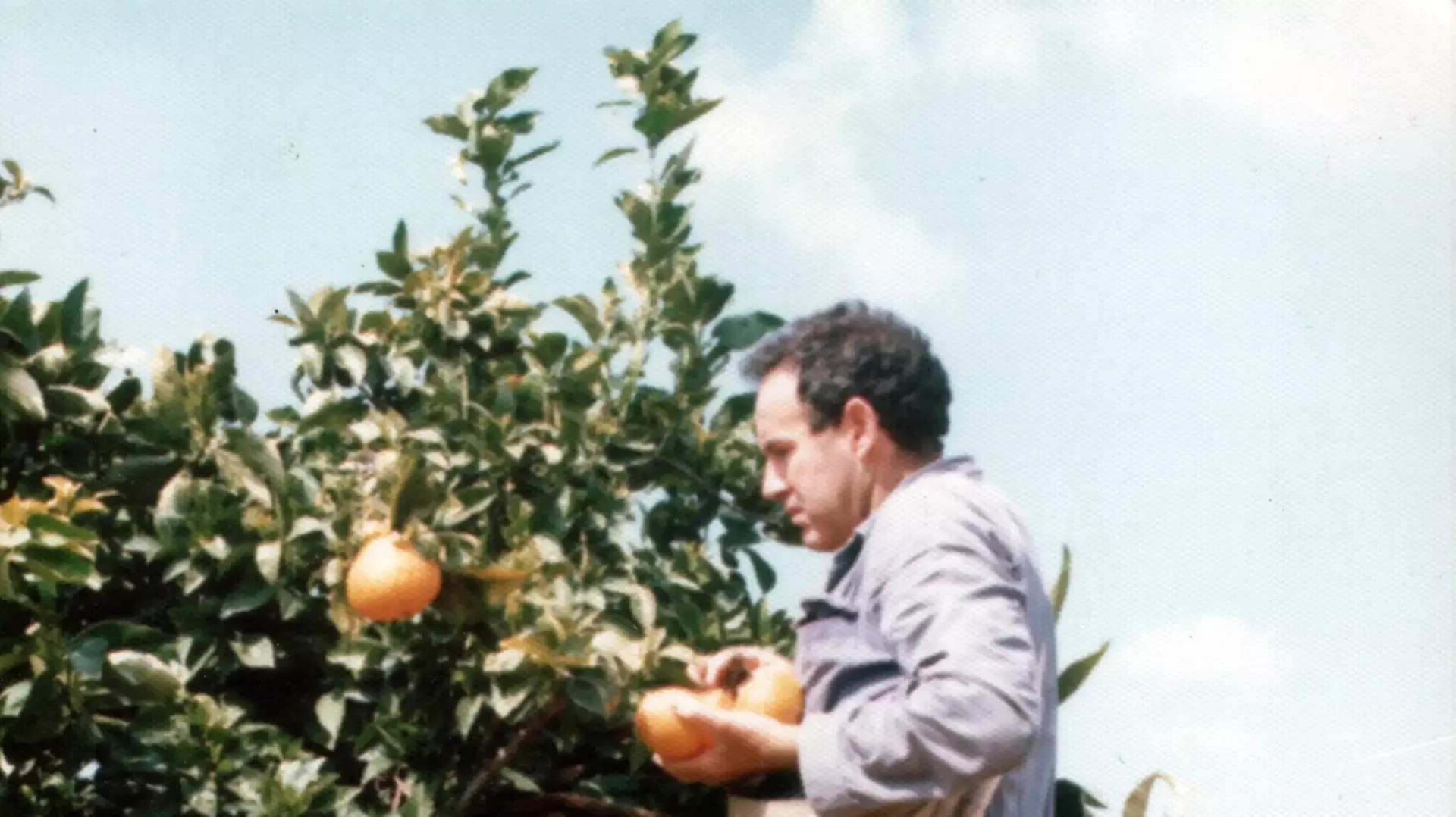 סא"ל יוסי יפה שמצא את מותו במהלך תרגול הקמתה של חטיבת מגלן בשנת 1977 סא"ל יוסי יפה שמצא את מותו במהלך תרגול הקמתה של חטיבת מגלן בשנת 1977