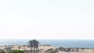 גוש קטיף  (עמיחי גרוס) - לא לשימוש