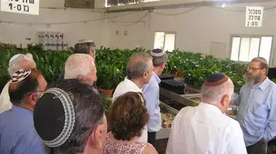 גוש קטיף  (עמיחי גרוס) - לא לשימוש
