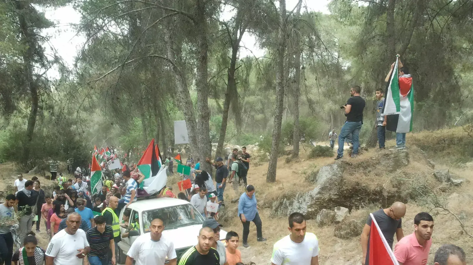 הפגנת פלסטינים ביער לביא, מאי 2014 הפגנת פלסטינים ביער לביא, מאי 2014