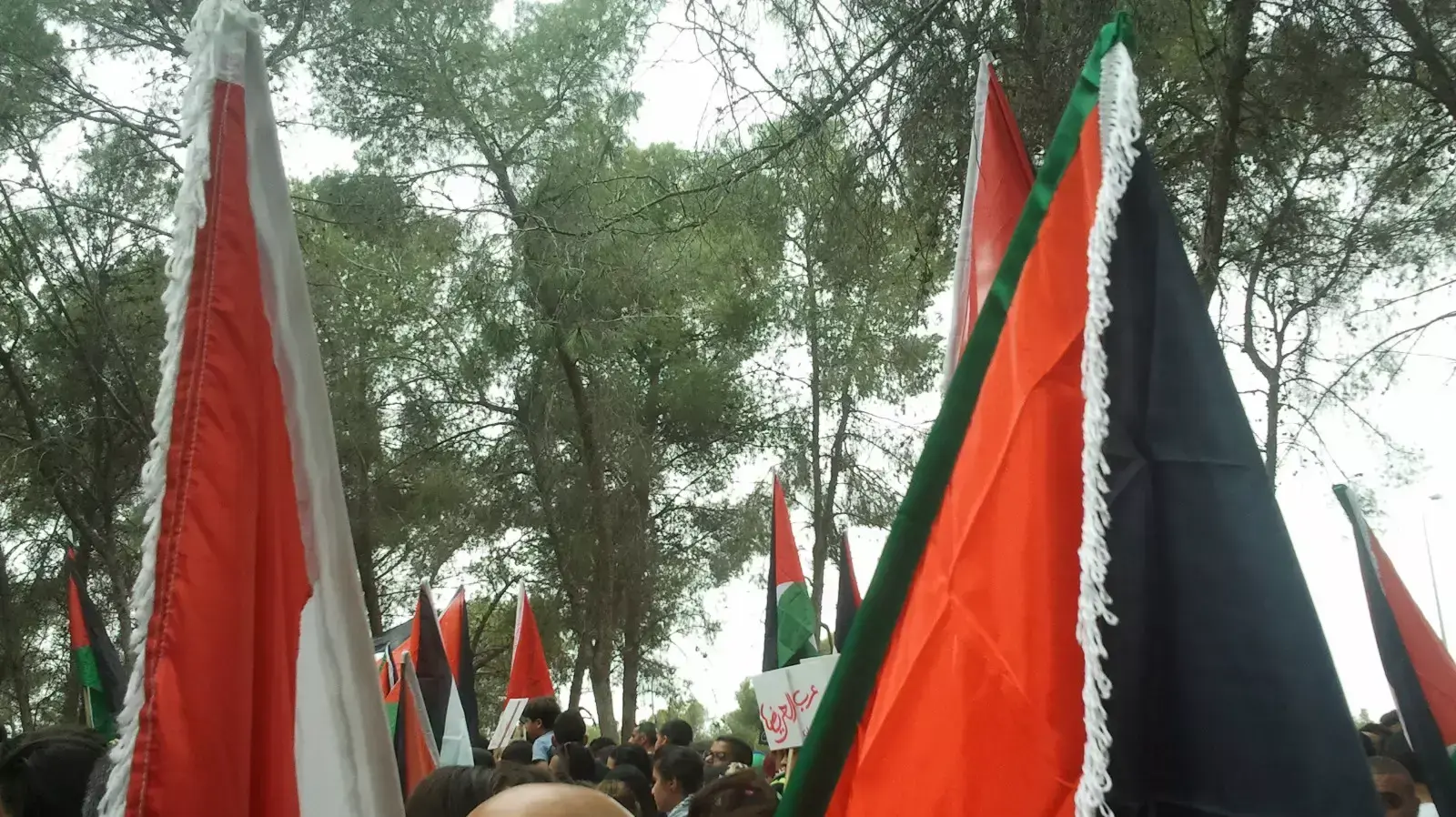 הפגנת פלסטינים ביער לביא, מאי 2014