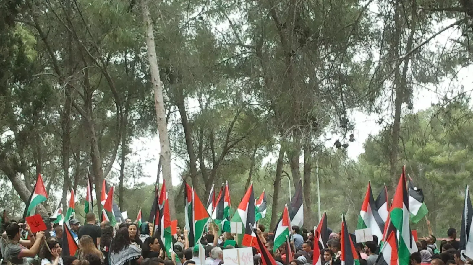 הפגנת פלסטינים ביער לביא, מאי 2014 הפגנת פלסטינים ביער לביא, מאי 2014