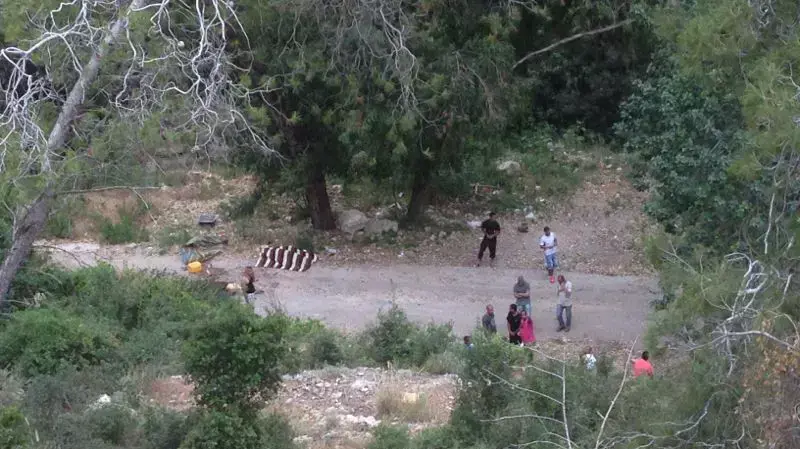 אישה נהרגה ובנה ובעלה נפצעו בקריסת עץ בוואדי בחיפה, מאי 2014 אישה נהרגה ובנה ובעלה נפצעו בקריסת עץ בוואדי בחיפה, מאי 2014