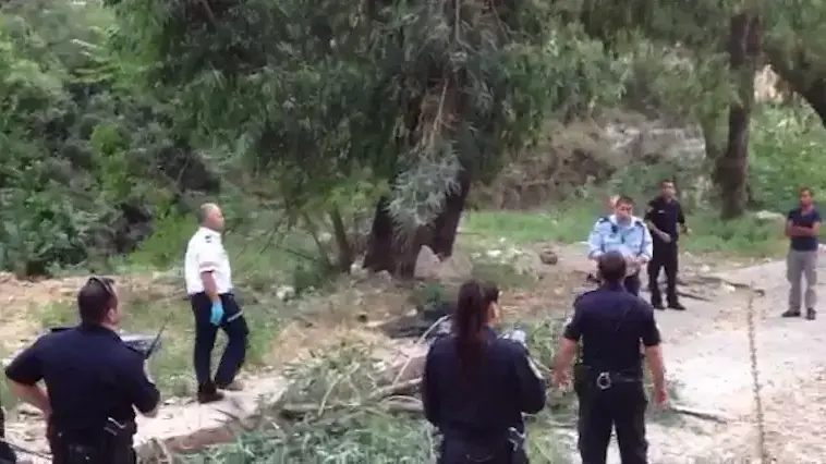 אישה נהרגה, בעלה ובנה נפצעו מקריסת עץ