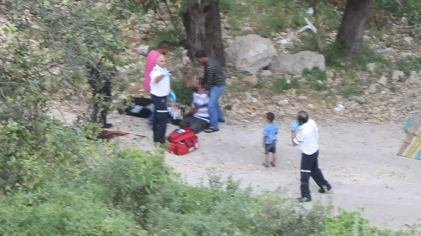 עץ קרס על משפחה שטיילה בוואדי נחל הגיבורים בחיפה, 6 במאי 2014 עץ קרס על משפחה שטיילה בוואדי נחל הגיבורים בחיפה, 6 במאי 2014