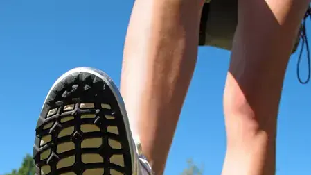 אילוסטרציה אילוסטרציה