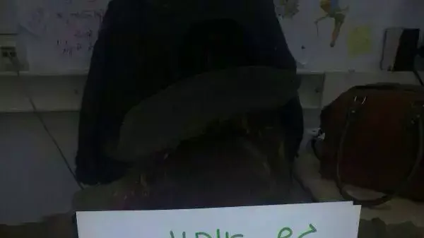 מחאת רשת חדשה של חיילים נגד פינוי המאחז גבעת אסף, מאי 2014 מחאת רשת חדשה של חיילים נגד פינוי המאחז גבעת אסף, מאי 2014