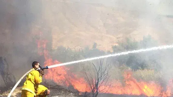 שריפה בקיבוץ האון בכינרת 17.5.14
