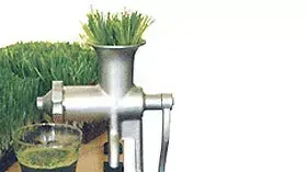 מיץ עשב חיטה מיץ עשב חיטה