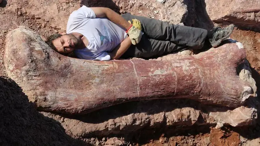חוקרים גילו עצמות ענק של דינוזאור חוקרים גילו עצמות ענק של דינוזאור