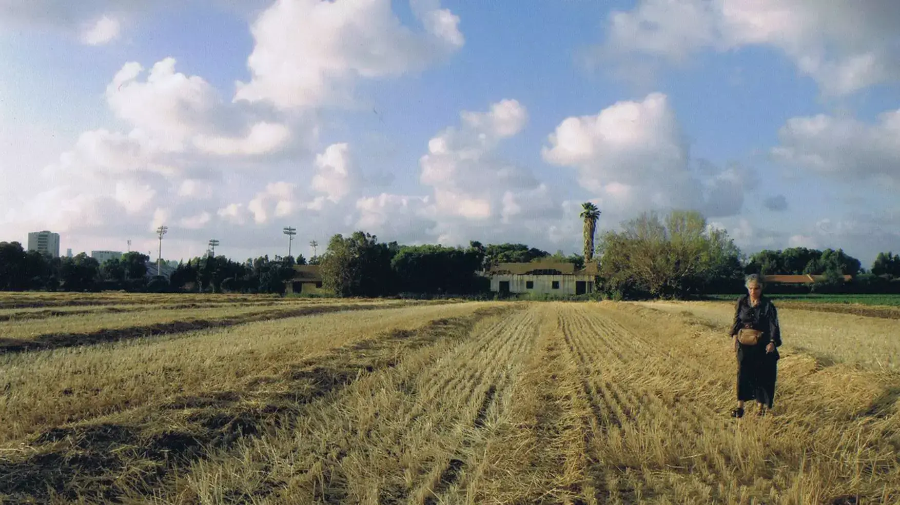 שרה בש כיום בחוות שלם