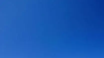 משתזפות על החוף משתזפות על החוף