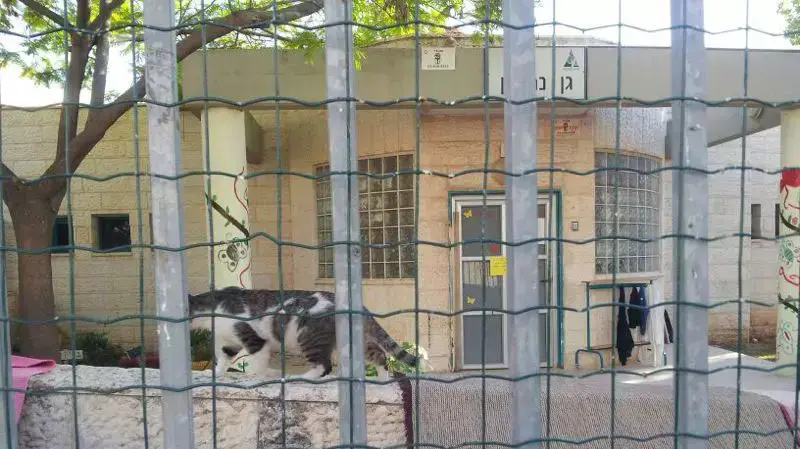 חשד לדיזנטריה בגן ילדים במודיעין, מאי 2014 חשד לדיזנטריה בגן ילדים במודיעין, מאי 2014