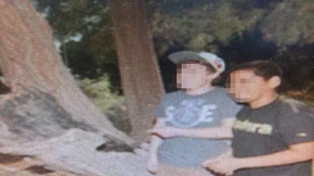 העץ בגן הציבורי בבת ים שבו הסתיר בן 13 מטען חבלה, מאי 2014 העץ בגן הציבורי בבת ים שבו הסתיר בן 13 מטען חבלה, מאי 2014