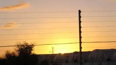 גוש קטיף (משפחת לקס)