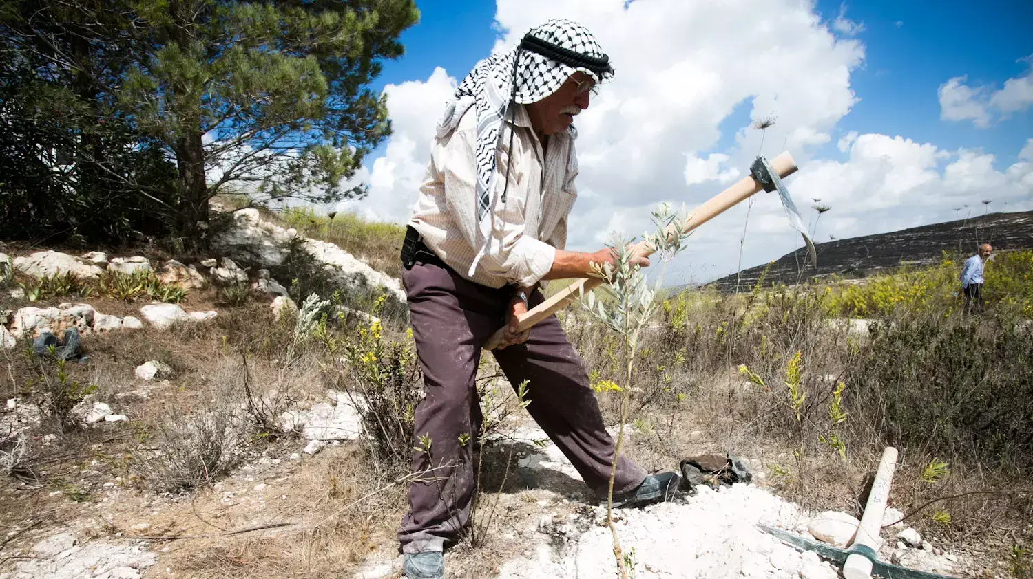תושבי הכפר הפלסטיני בורקה שבצפון השומרון קיבלו בחזרה את אדמתם, עליה הוקם היישוב חומש. תושבי הכפר הפלסטיני בורקה שבצפון השומרון קיבלו בחזרה את אדמתם, עליה הוקם היישוב חומש.