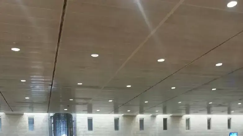 תורים בנתב"ג בעקבות תקלה במערכת בדיקת התיקים. יוני 2014 תורים בנתב"ג בעקבות תקלה במערכת בדיקת התיקים. יוני 2014