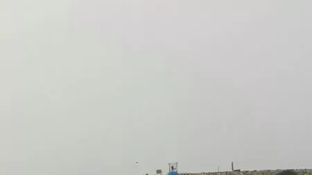 אשר בן שטרית וביתו מיקה שטבעו ברידינג ליד תחנת הכוח אשר בן שטרית וביתו מיקה שטבעו ברידינג ליד תחנת הכוח