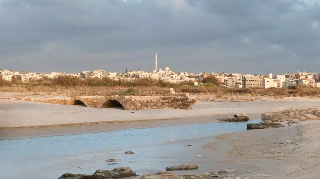 שפך תנינים ג'אסר א-זרקא שפך תנינים ג'אסר א-זרקא