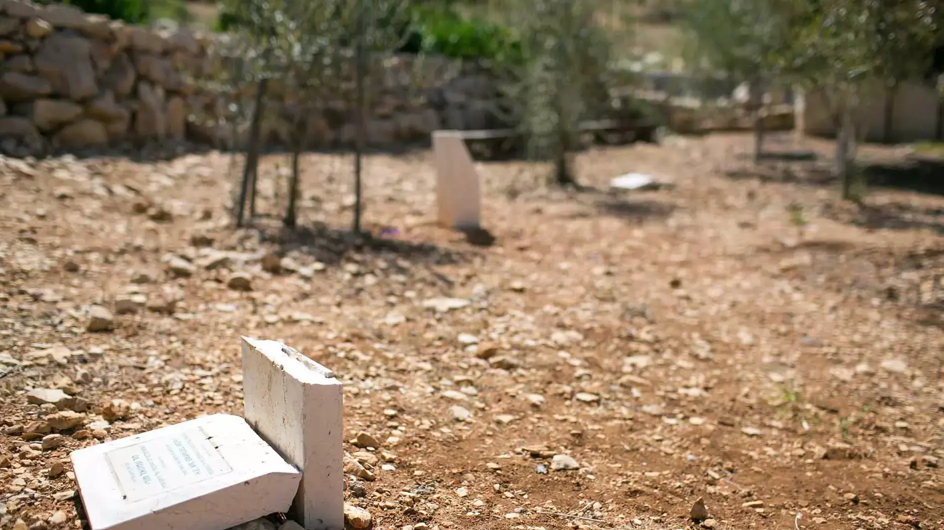 שלטים ביער האומות בירושלים הושחתו ושמות החטופים נחרטו עליהם. יוני 2014 שלטים ביער האומות בירושלים הושחתו ושמות החטופים נחרטו עליהם. יוני 2014