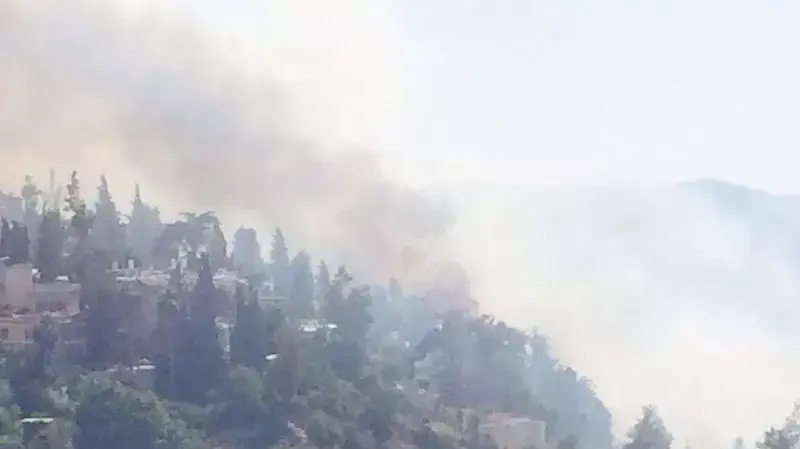 שריפת חורש בשכונת עין כרם בירושלים 25 ביוני 2014 שריפת חורש בשכונת עין כרם בירושלים 25 ביוני 2014