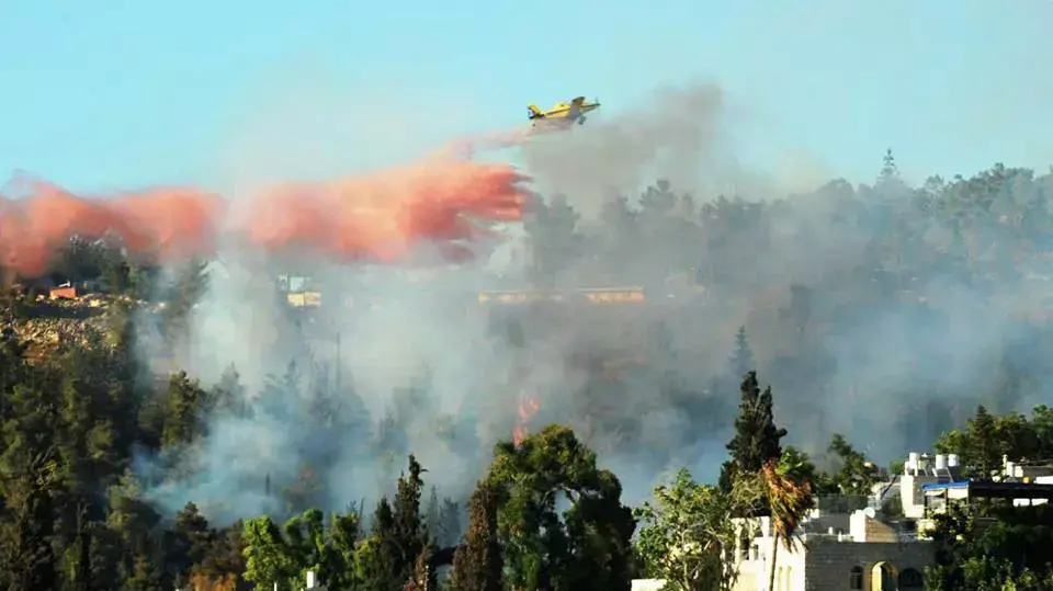 שריפה בעין כרם, ירושלים שריפה בעין כרם, ירושלים