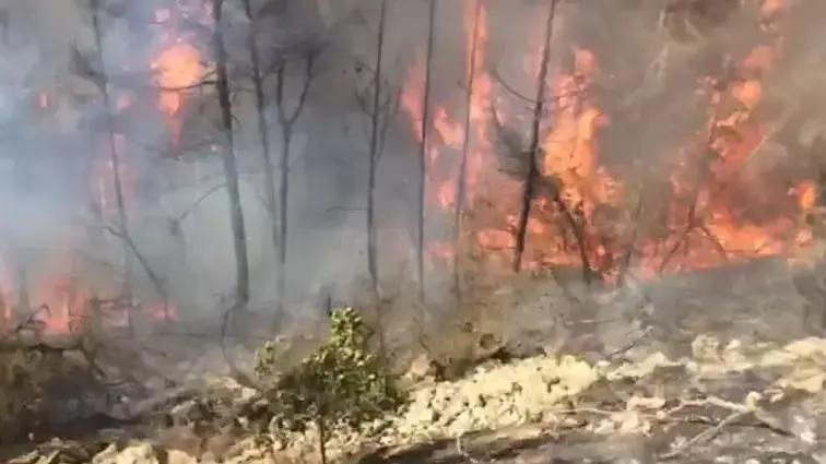 הושגה שליטה על האש, חשד להצתה מכוונת הושגה שליטה על האש, חשד להצתה מכוונת