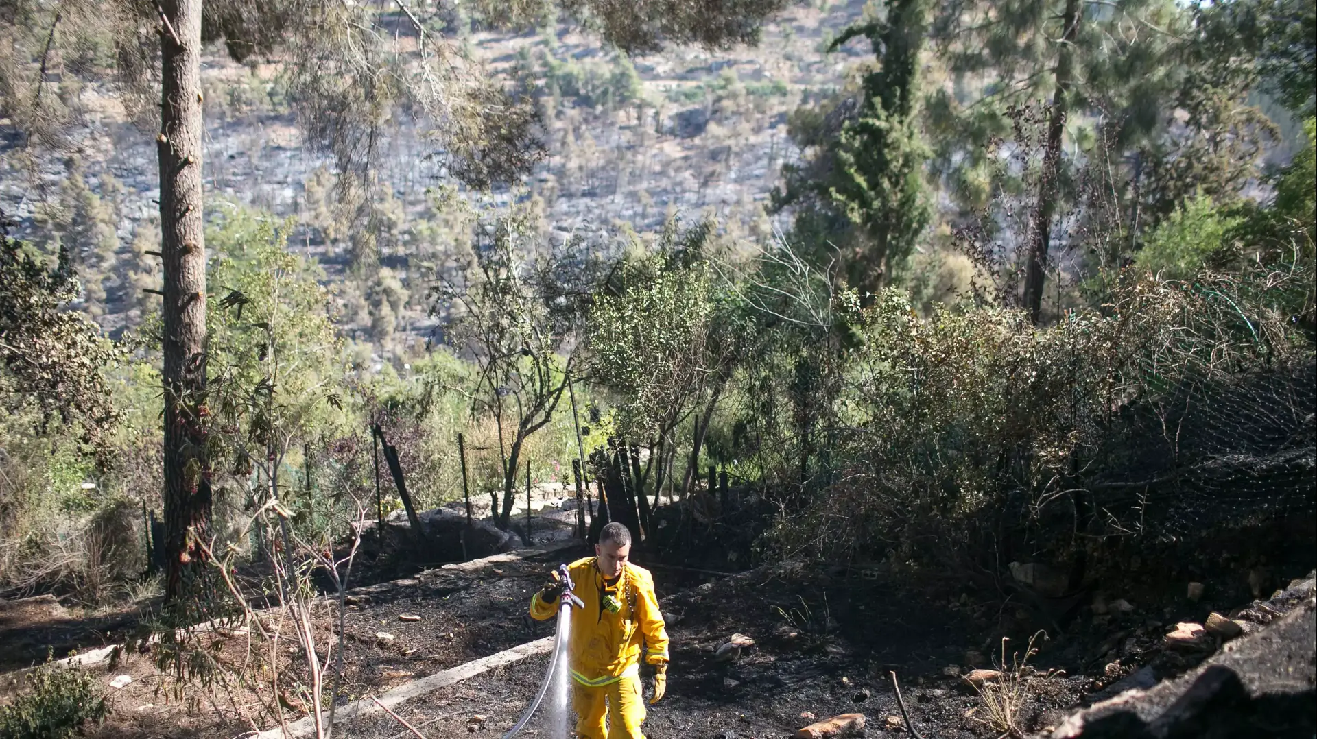 הבוקר שאחרי השריפה הגדולה בירושלים, יוני 2014 הבוקר שאחרי השריפה הגדולה בירושלים, יוני 2014