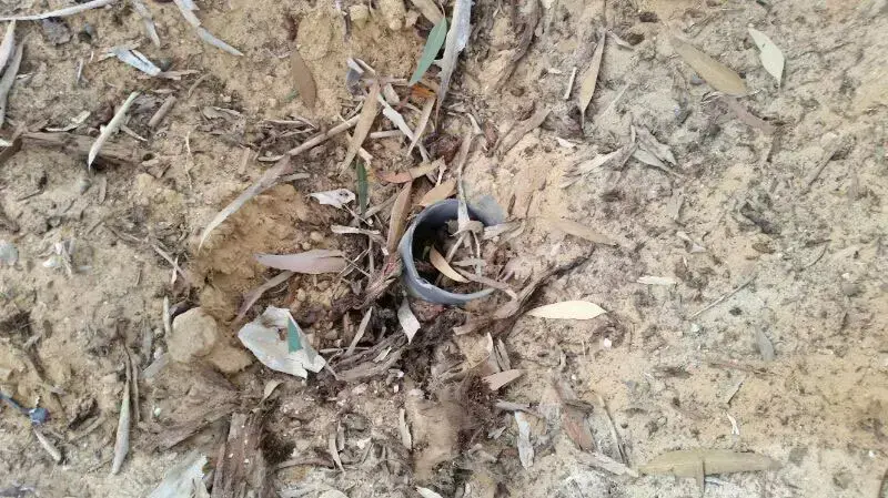 רקטות במועצה האזורית אשכול, 1 ביולי 2014 רקטות במועצה האזורית אשכול, 1 ביולי 2014