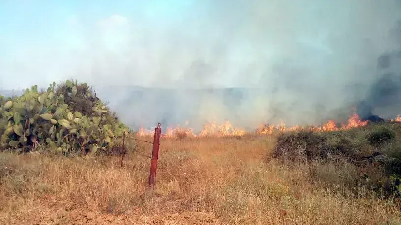 שריפה שפרצה באזור שדרות בעקבות פיצוץ רקטה שריפה שפרצה באזור שדרות בעקבות פיצוץ רקטה