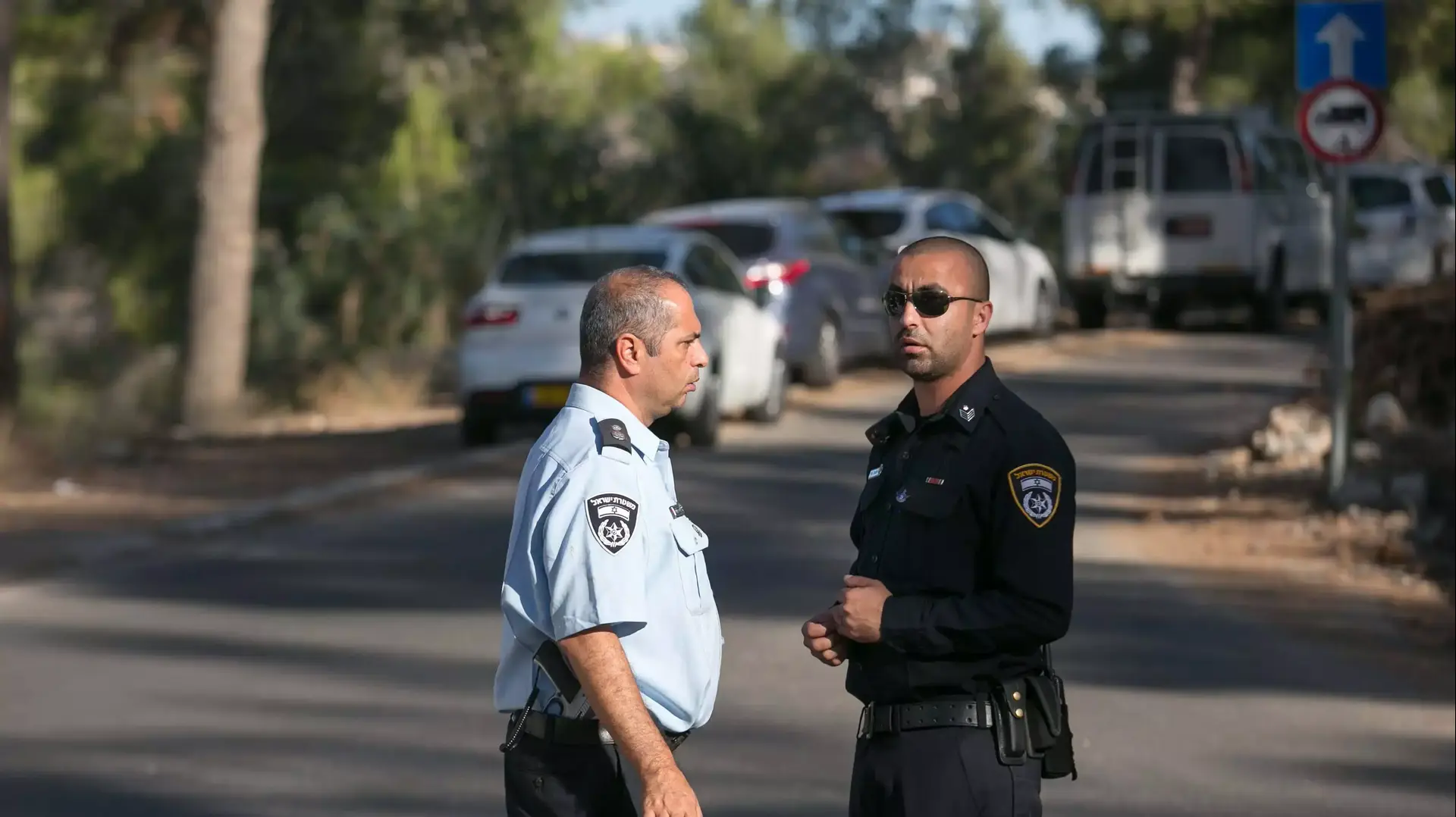 הזירה שבה נמצאה גופת הנער ביער ירושלים, יולי 2014 הזירה שבה נמצאה גופת הנער ביער ירושלים, יולי 2014
