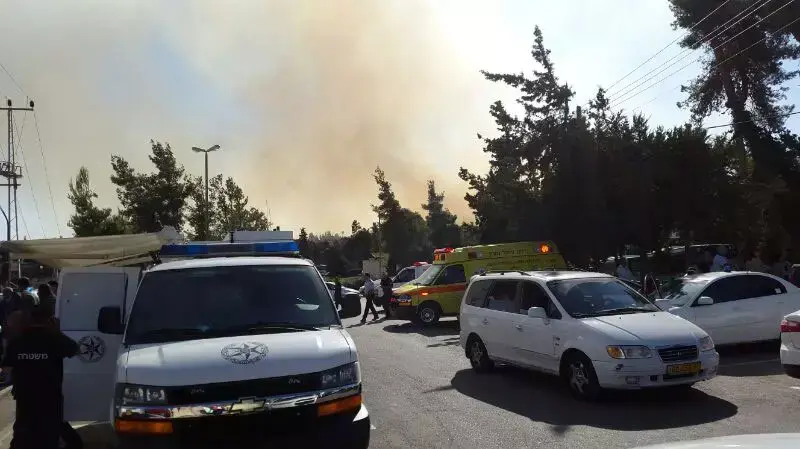 שריפה באזור ירושלים שריפה באזור ירושלים