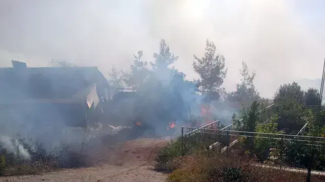 מספר בתים נפגעו מהשריפה במושב אבן ספיר, ליד ירושלים. יולי 2014 מספר בתים נפגעו מהשריפה במושב אבן ספיר, ליד ירושלים. יולי 2014