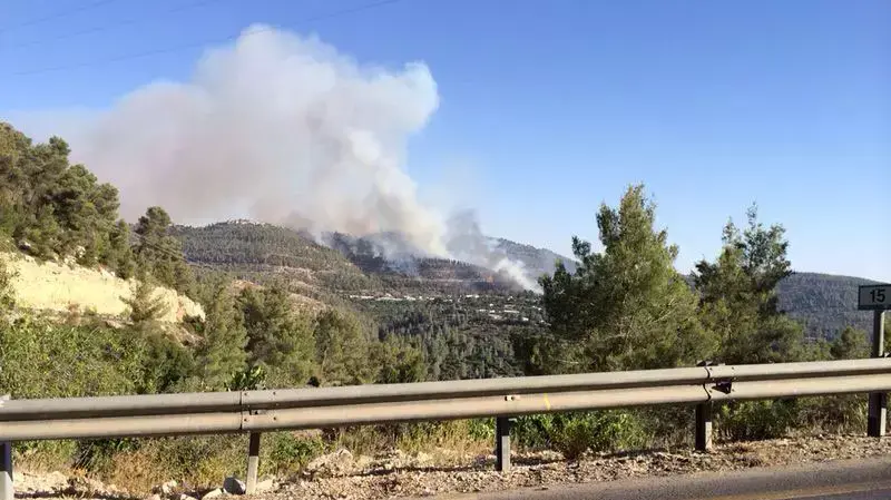 שריפה באבן ספיר, ליד ירושלים. יולי 2014 שריפה באבן ספיר, ליד ירושלים. יולי 2014