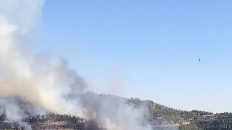 שריפה באבן ספיר, ליד ירושלים. יולי 2014 שריפה באבן ספיר, ליד ירושלים. יולי 2014