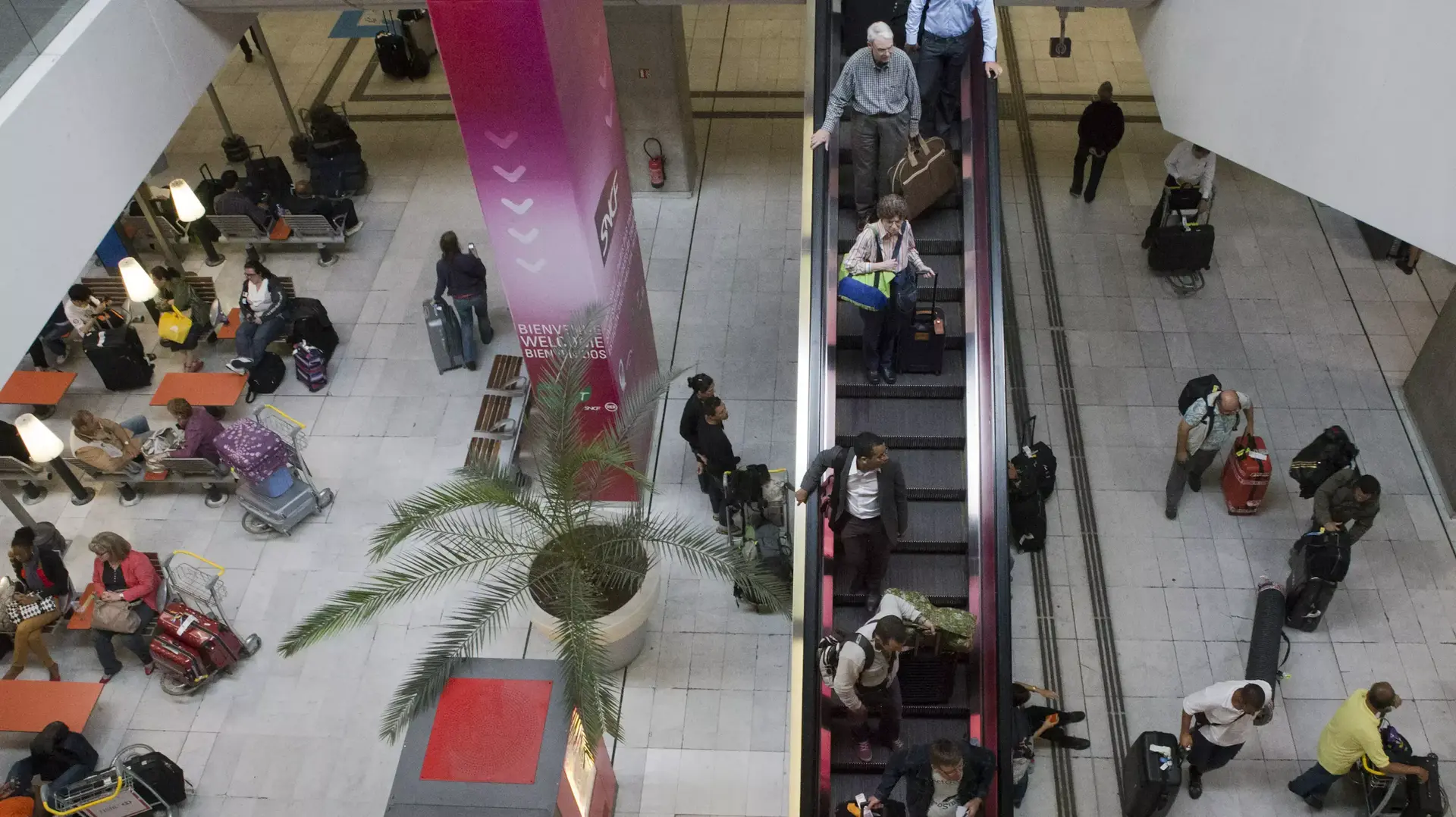 משטרת צרפת הטמינה מטען חבלה בנמל התעופה של מרסיי כדי לבחון את ערנות הכוחות המקומיים, ושכחה איפה החביאה אותו משטרת צרפת הטמינה מטען חבלה בנמל התעופה של מרסיי כדי לבחון את ערנות הכוחות המקומיים, ושכחה איפה החביאה אותו