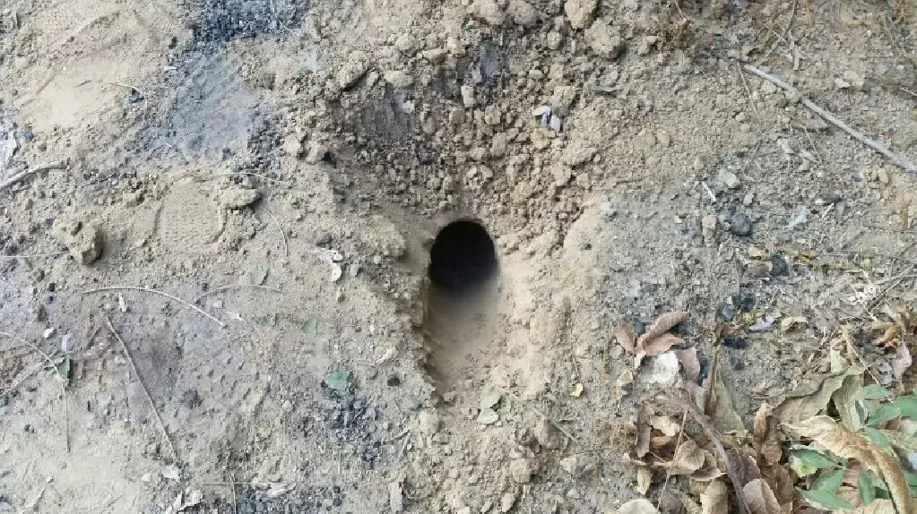 נפילת רקטה במועצה האזורית אשכול נפילת רקטה במועצה האזורית אשכול