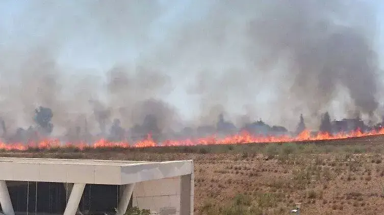 שריפה מרקטה בתחנת הרכבת בשדרות, יולי 2014 שריפה מרקטה בתחנת הרכבת בשדרות, יולי 2014