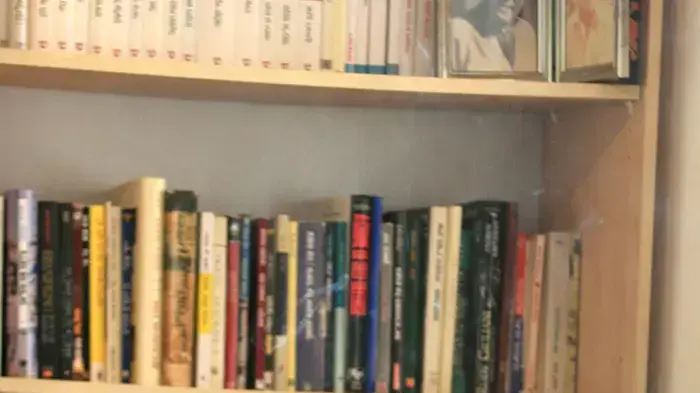 יובל אלבשן