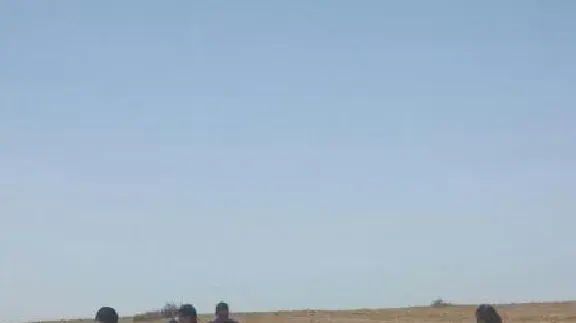 זירת נפילת רקטה בלכיש 12 ביולי 2014 זירת נפילת רקטה בלכיש 12 ביולי 2014