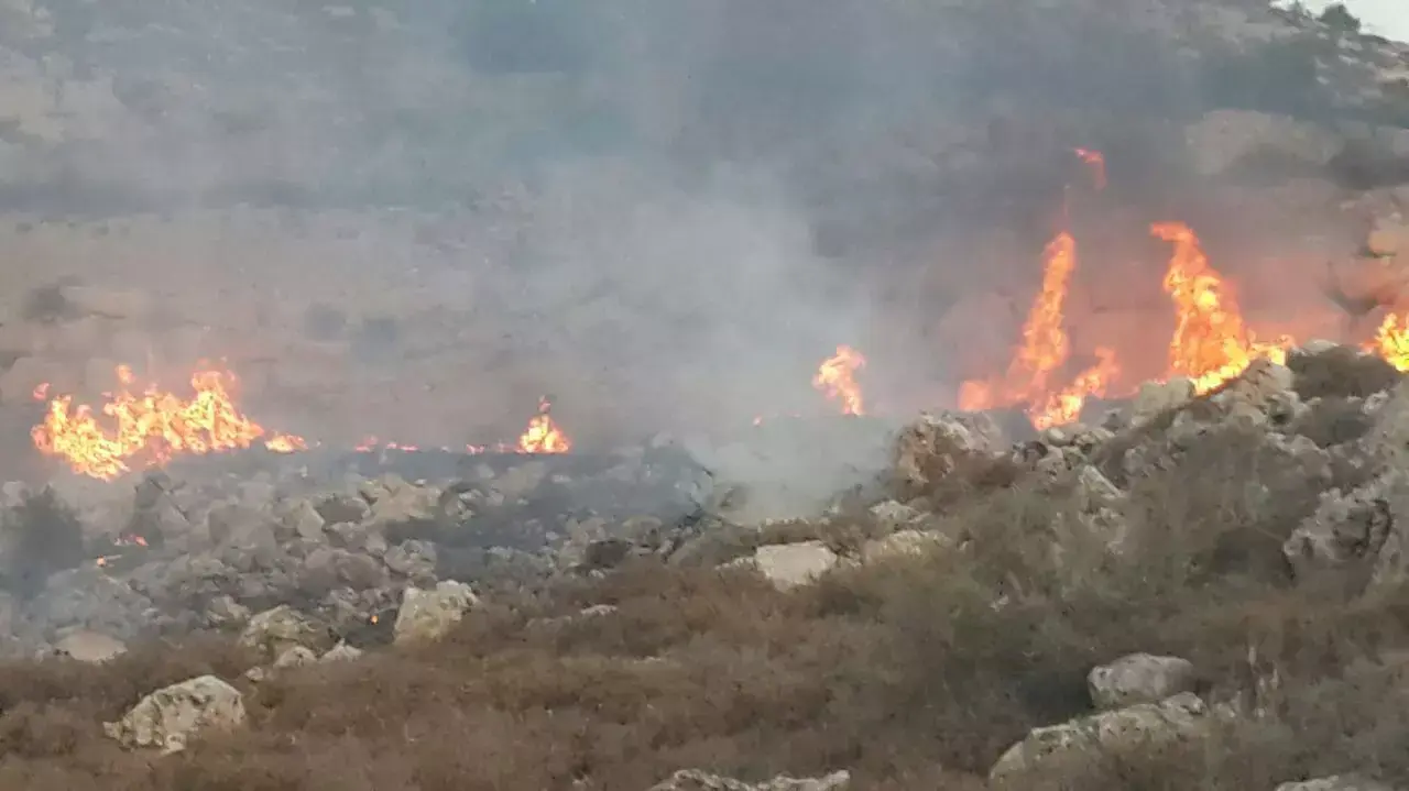 שריפה ליד אפרת בשל פגיעת רקטה, יולי 2014 שריפה ליד אפרת בשל פגיעת רקטה, יולי 2014