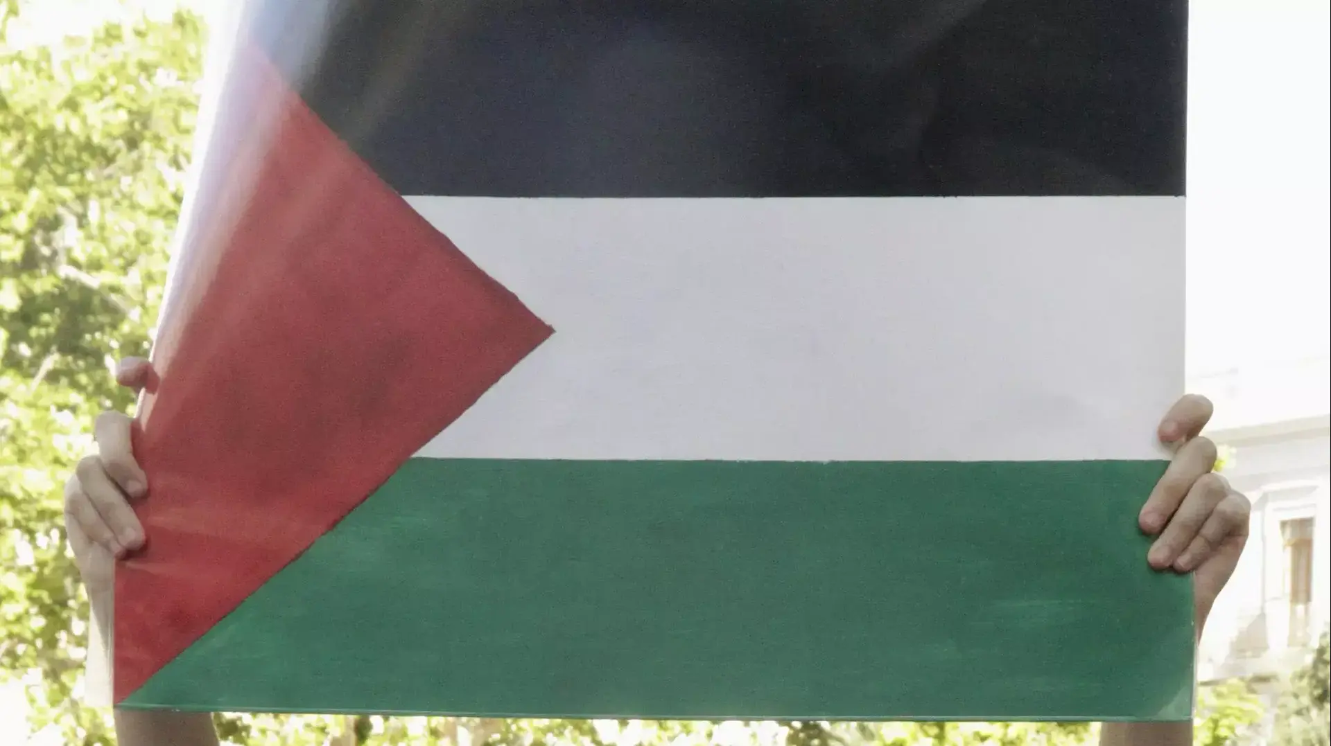הפגנה פרו פלסטינית נגד מבצע צוק איתן בוולנסיה שבספרד הפגנה פרו פלסטינית נגד מבצע צוק איתן בוולנסיה שבספרד