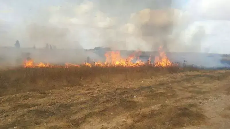 שריפה במועצה האזורית אשכול בעקבות נפילת פצמ"ר, יולי 2014 שריפה במועצה האזורית אשכול בעקבות נפילת פצמ"ר, יולי 2014