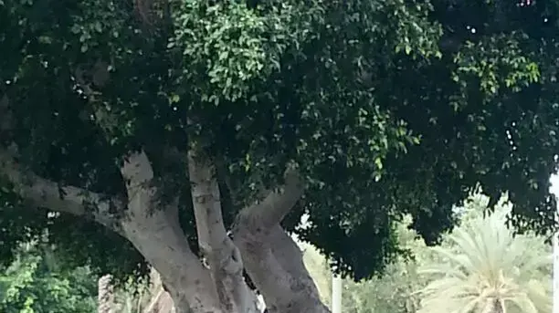 אזעקה בגוש דן. יולי 2014 אזעקה בגוש דן. יולי 2014